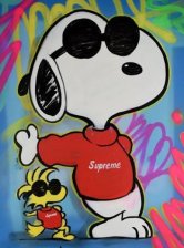 THE SUPREM